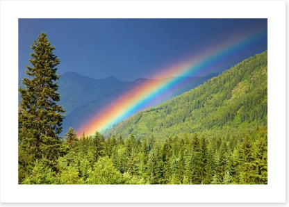 Rainbows
