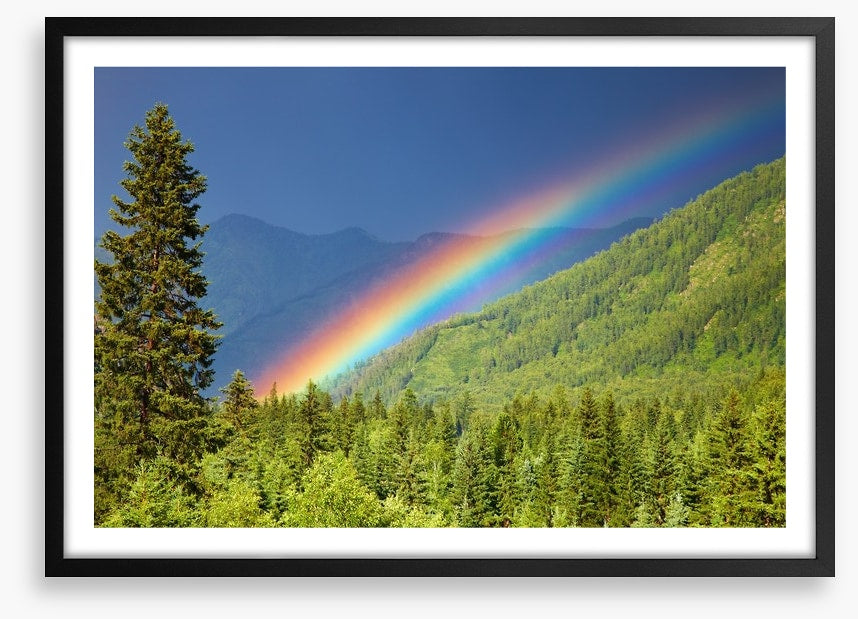 Rainbows