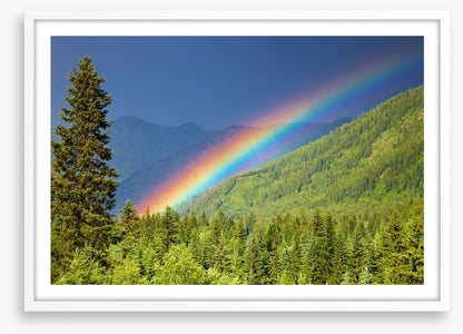 Rainbows