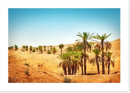 Desert