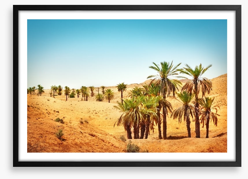 Desert