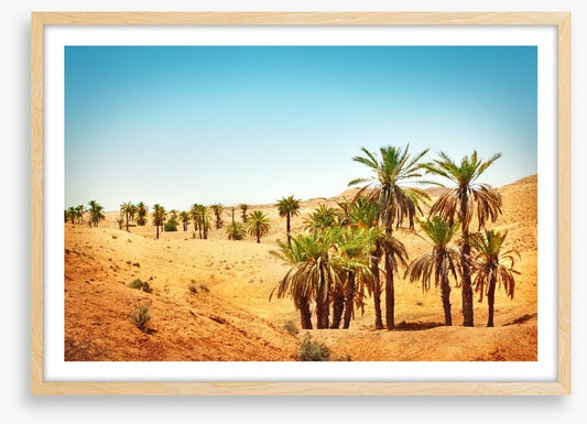 Desert
