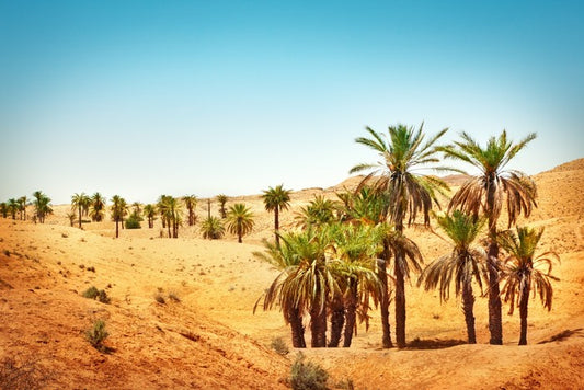Desert