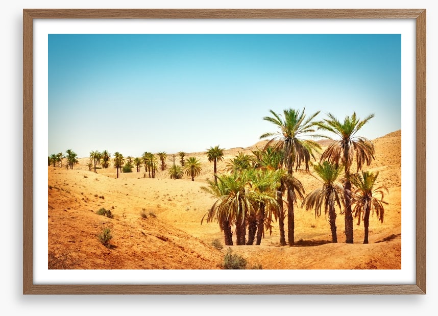 Desert