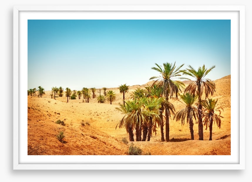 Desert
