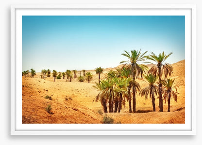 Desert