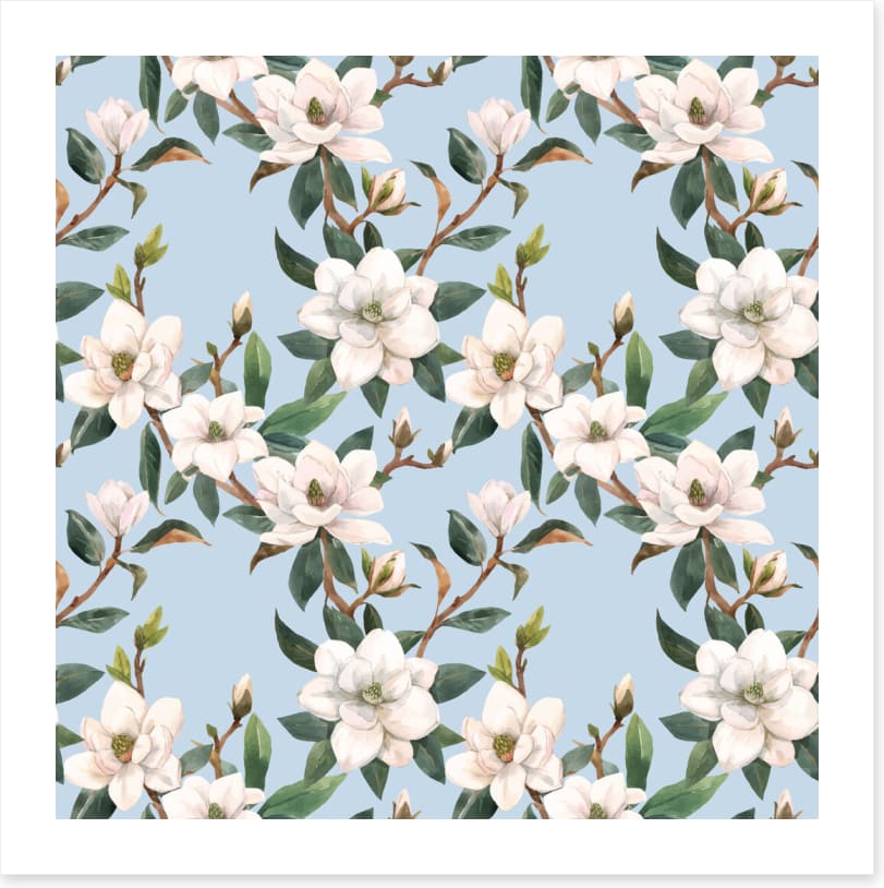 Blue sky magnolia