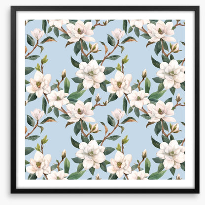 Blue sky magnolia