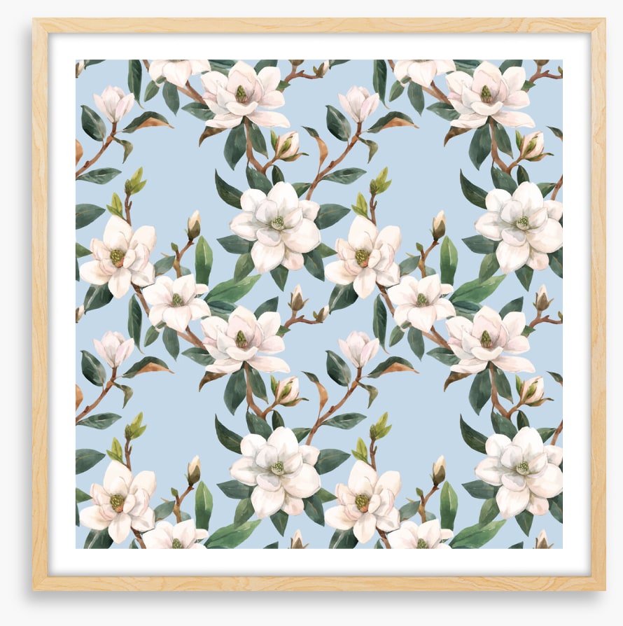 Blue sky magnolia