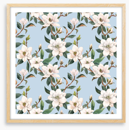 Blue sky magnolia