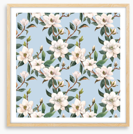 Blue sky magnolia