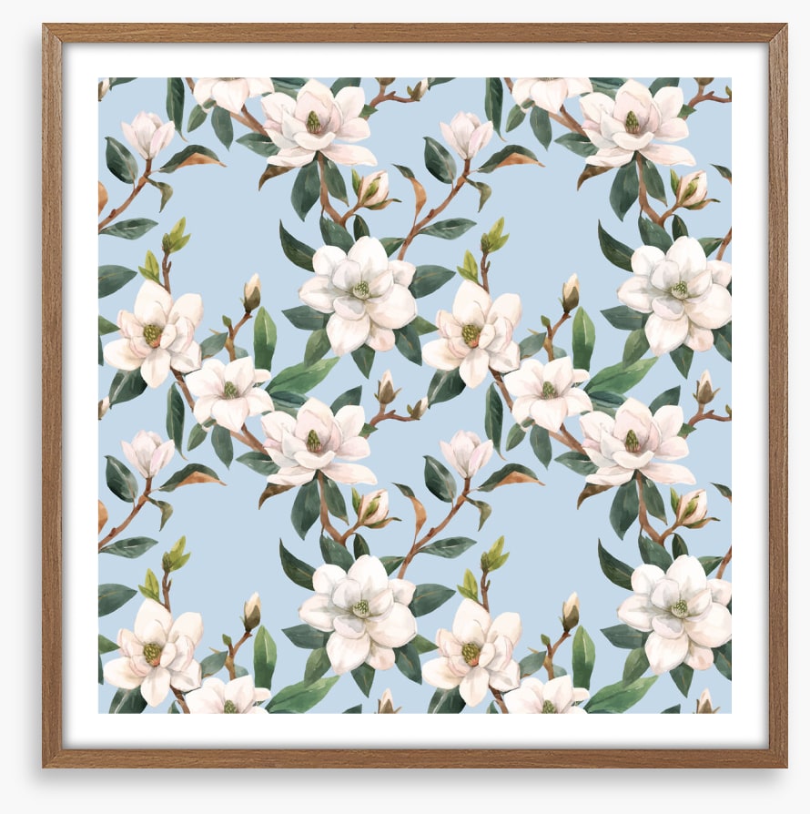 Blue sky magnolia
