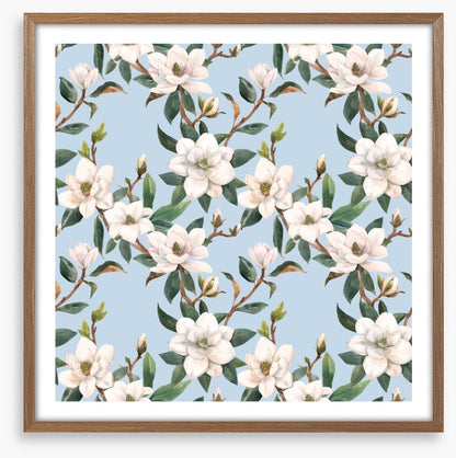 Blue sky magnolia