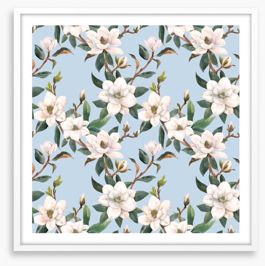 Blue sky magnolia