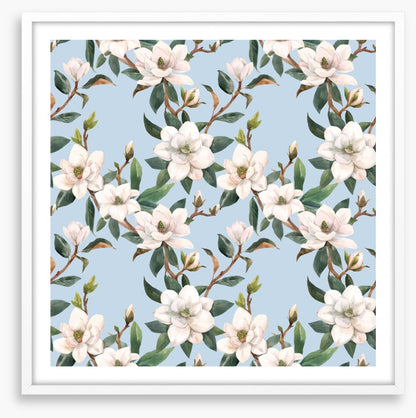 Blue sky magnolia
