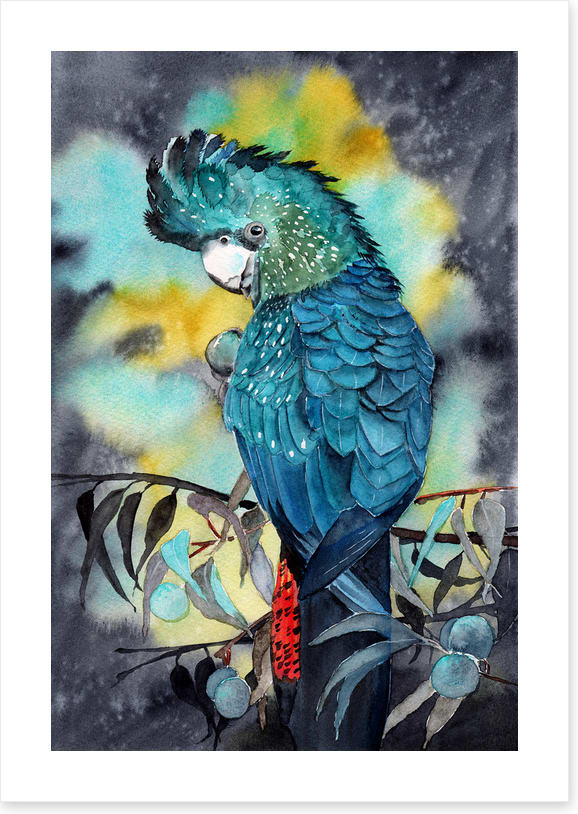 Moonlight cockatoo