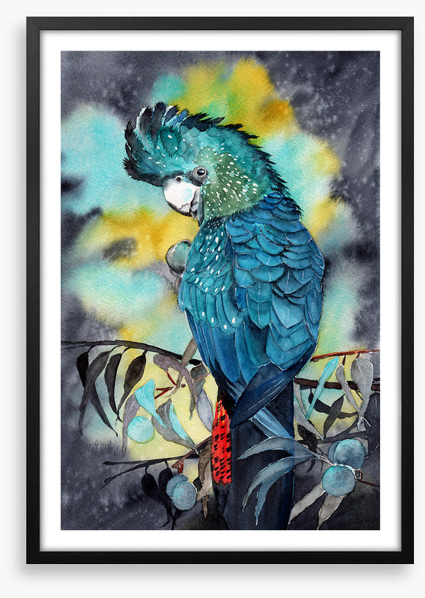Moonlight cockatoo