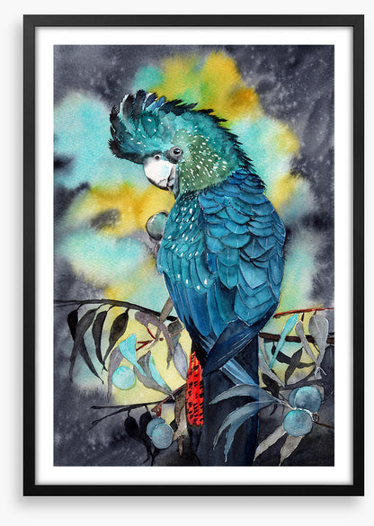 Moonlight cockatoo