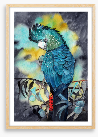 Moonlight cockatoo
