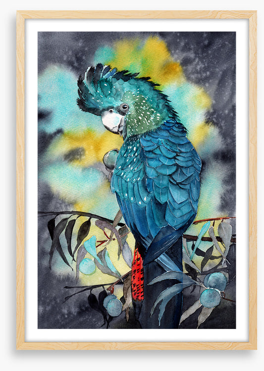 Moonlight cockatoo
