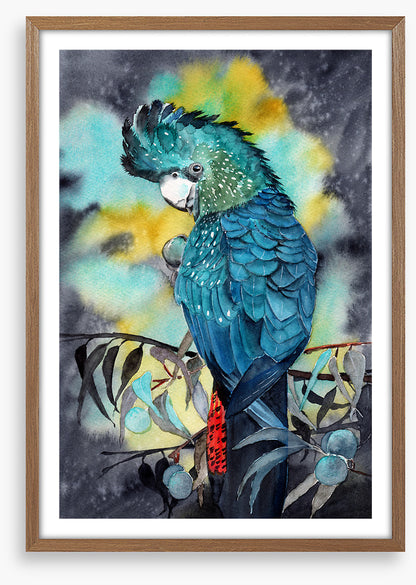 Moonlight cockatoo