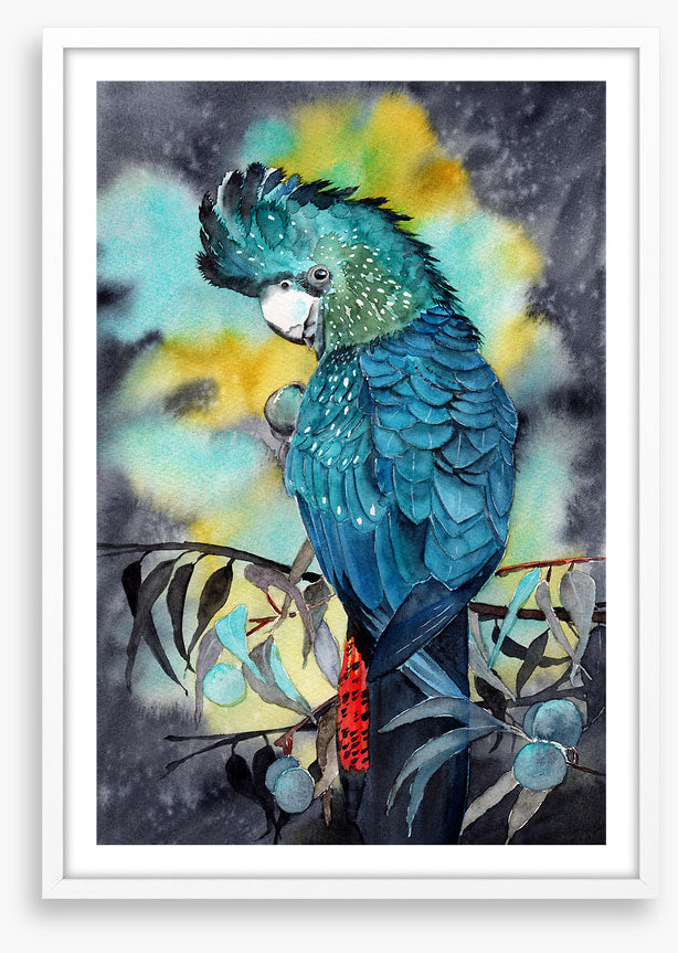 Moonlight cockatoo