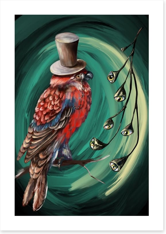 Birds