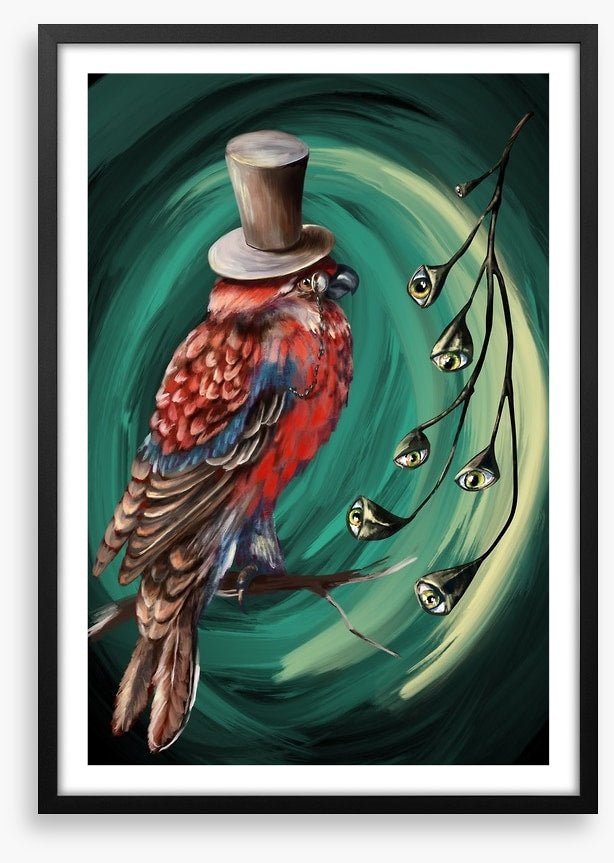 Birds
