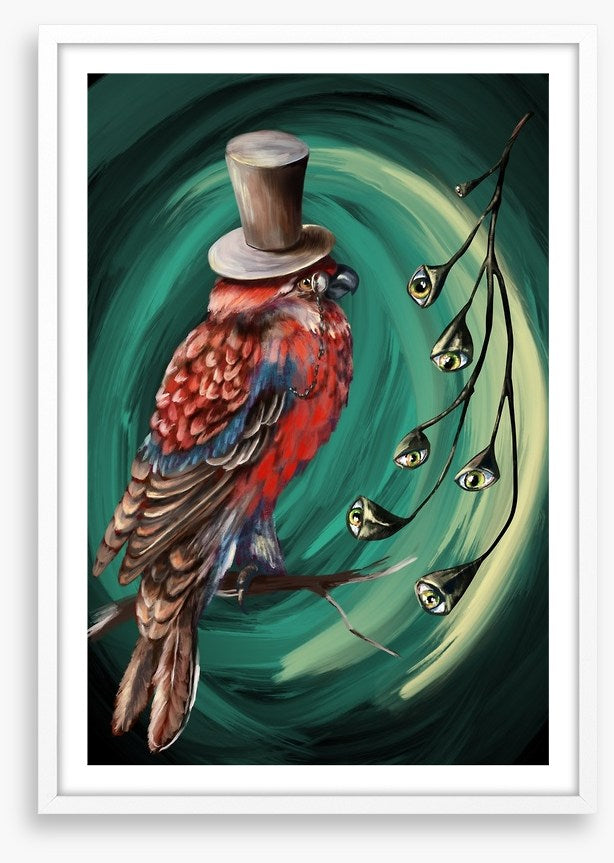 Birds