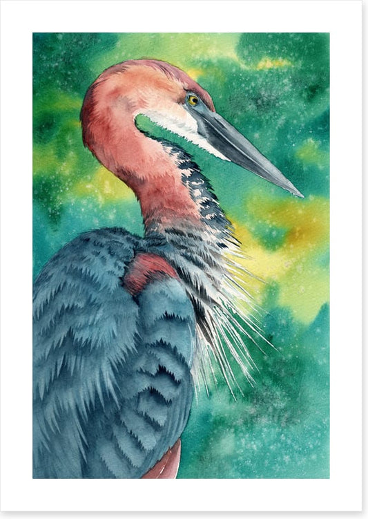 Hello heron