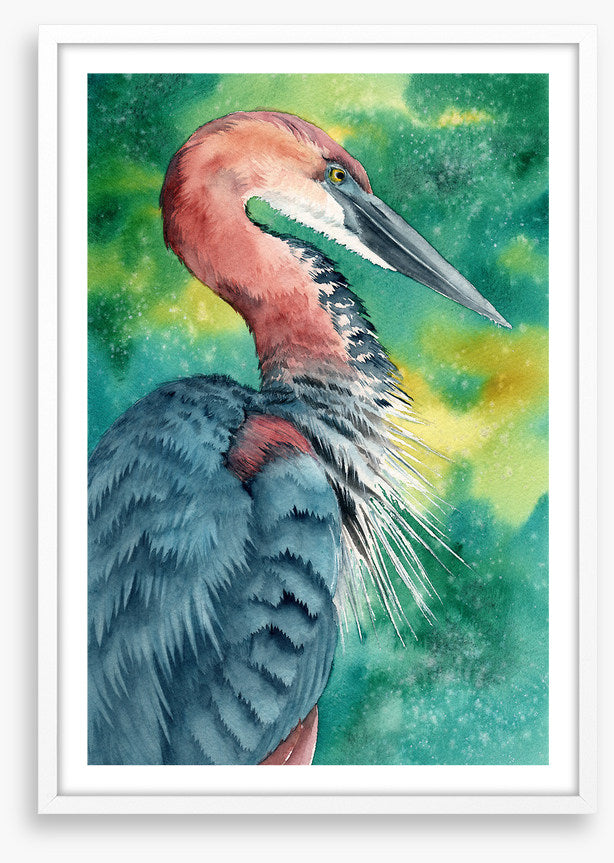 Hello heron