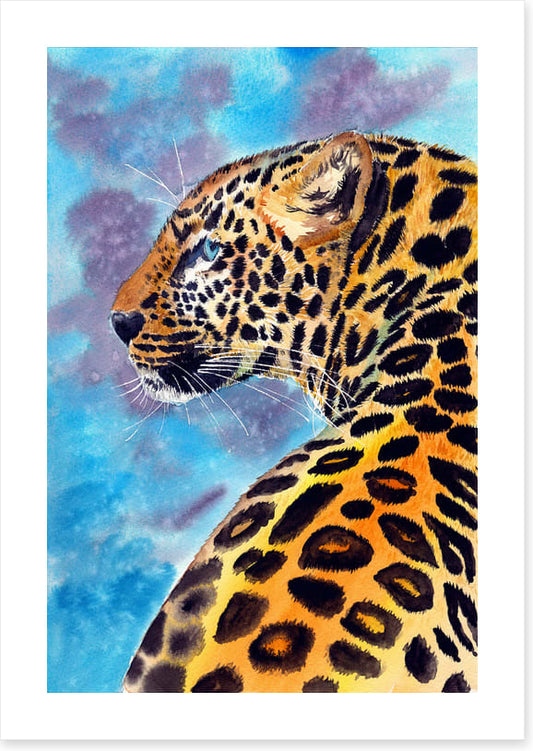 Animals