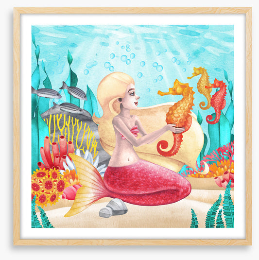 Seahorse friends 2