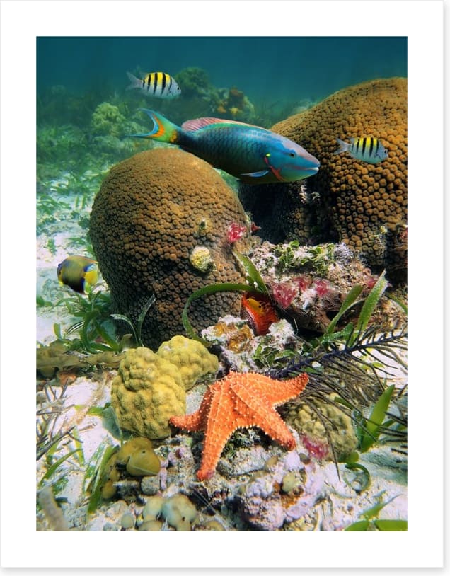 Underwater