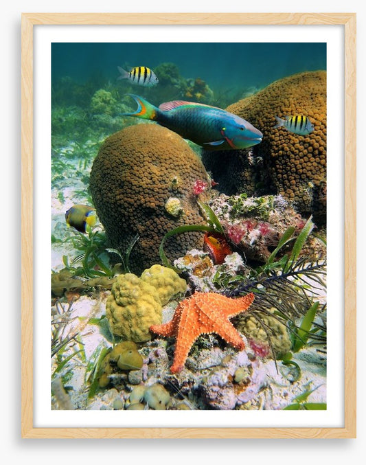 Underwater