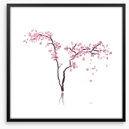 Sakura silhouette