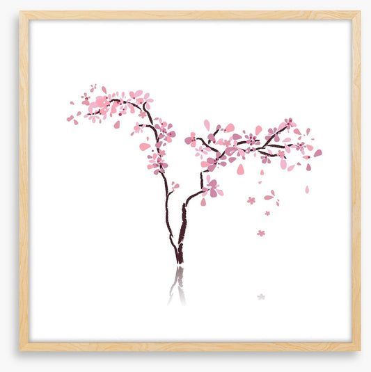 Sakura silhouette