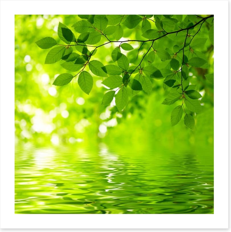 Viridian reflections