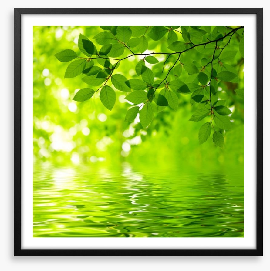 Viridian reflections