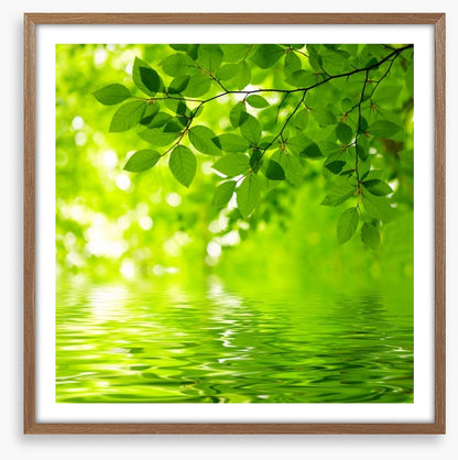 Viridian reflections