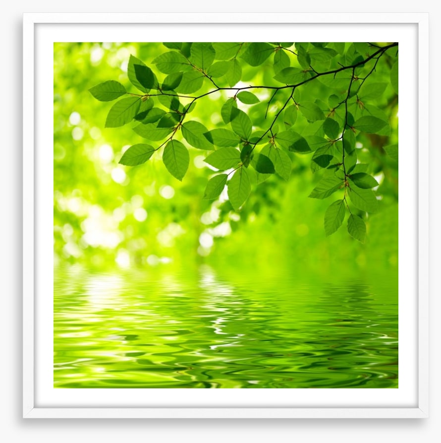 Viridian reflections