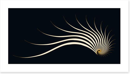 Sleeping nautilus