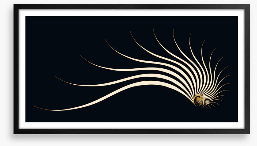 Sleeping nautilus
