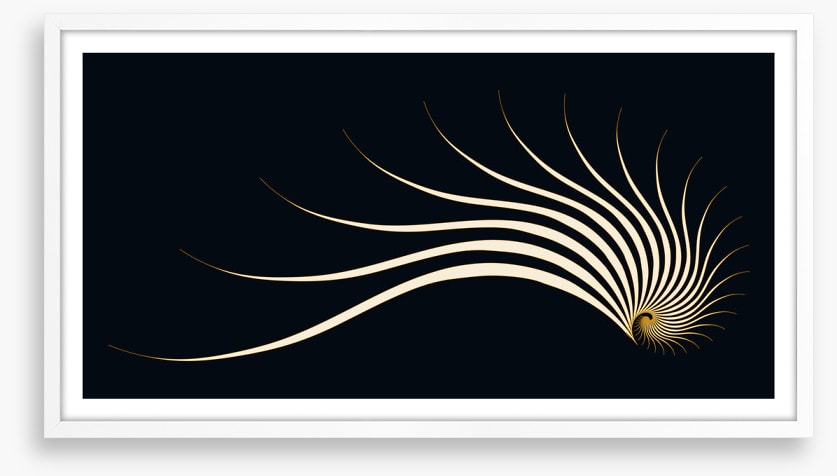 Sleeping nautilus