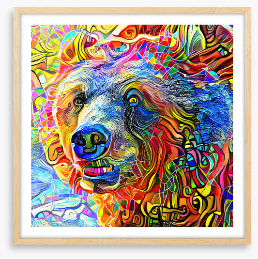 Kooky bear