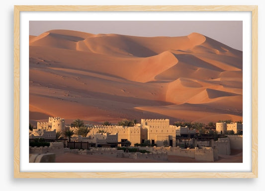 Abu Dhabi dunes