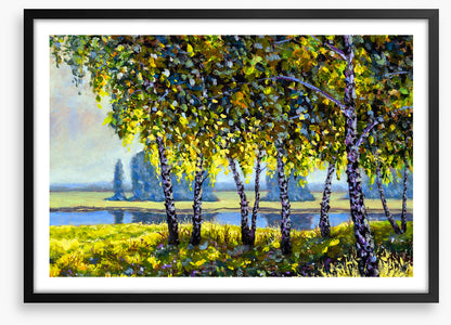 Birch and beyond