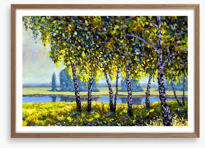 Birch and beyond