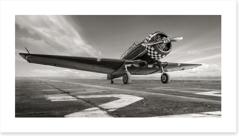 Warbird wings