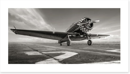 Warbird wings